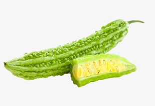 苦瓜高清素材免费下载 千库网编号6057502苗鸡图片解析